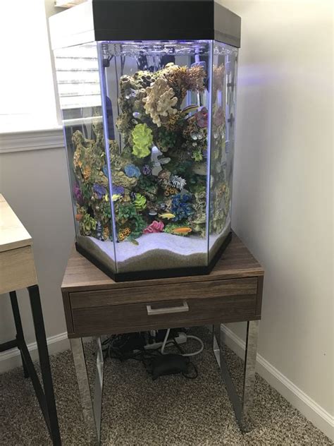 Seaclear 15 Gallon Hexagon Acrylic Aquarium Junior Executive Kit Black Back, With 12". . 20 gallon hexagon fish tank stand